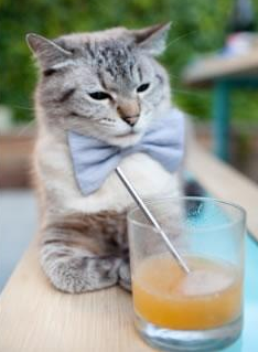 AIYOUXI-法甲决胜时刻，专家深度解读战术布局对比赛结果的影响，法甲揭幕战比分