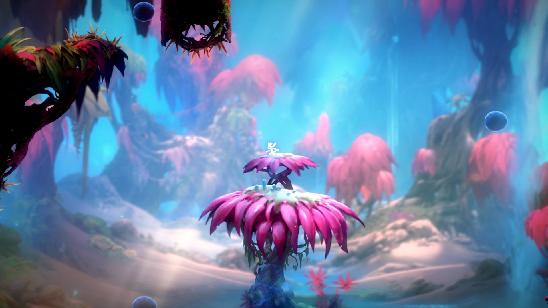 足球少年坠亡，青训安全机制引发关注，足球少年溺亡