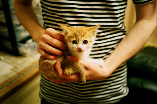 中国篮球运动员职业道德，篮球运动员的基本素质