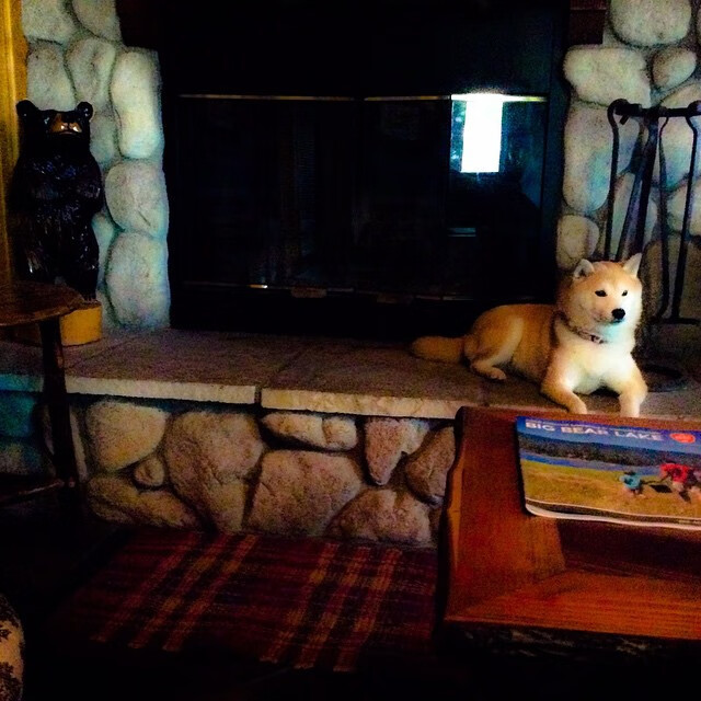 爱游戏平台体验-新赛季预备不足，球队实力有待提升，新赛季球员排名