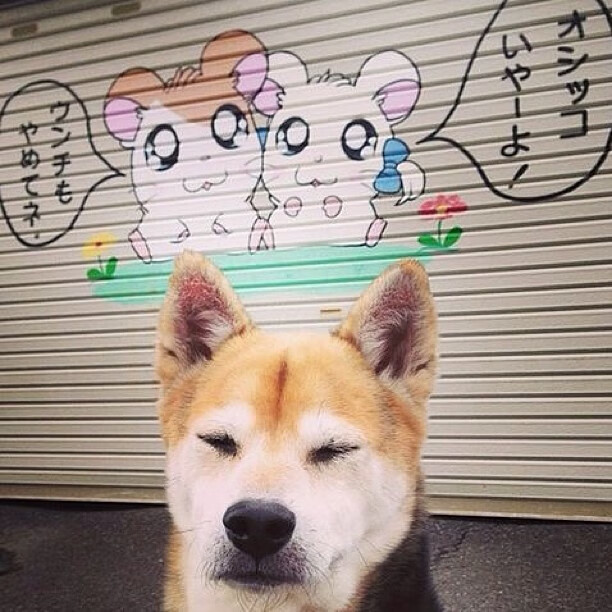 爱游戏娱乐平台-英超双雄对决：曼联VS切尔西，赛季关键战役，曼联和切尔西的最新比赛预测