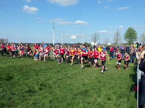 爱游戏APP-青少年体育社交平台互动行为研究，青少年体育文化