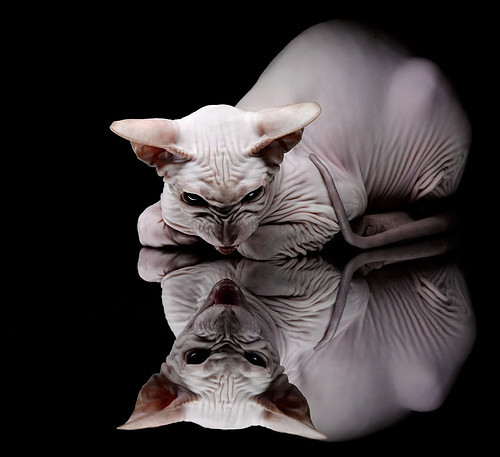 中国三人女篮保持高强度训练 提升整体实力，中国三人女篮球名单